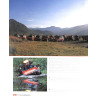Landrover, Das Grosse Buch