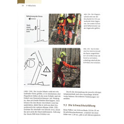 Sachkundenachweis Motorsage