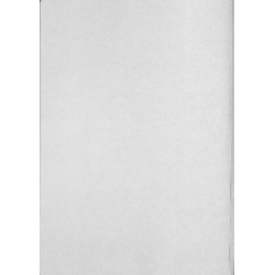 F03 Reparaturleitfaden FE35