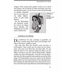 Pferd und Kutsche 