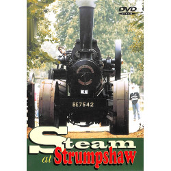 Steam at Strumpshaw