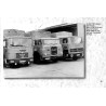 Speditionsportraits - Die Transportprofis