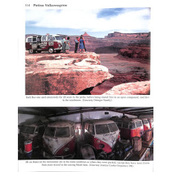 Patina Volkswagens