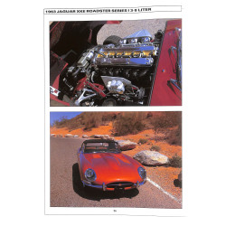 Jaguar: The Enduring Legend