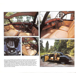 Jaguar Roger Hicks