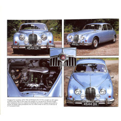 Jaguar Roger Hicks
