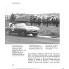 Jaguar E Type 3.8 & 4.2 6-cilinder 5.3 V12